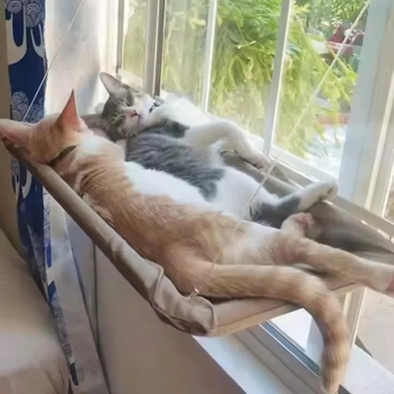 Hamac de fenêtre pour chat