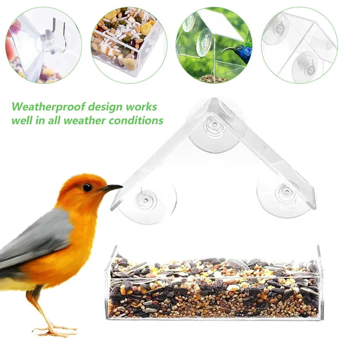 Mangeoire à oiseaux transparente pour fenêtre