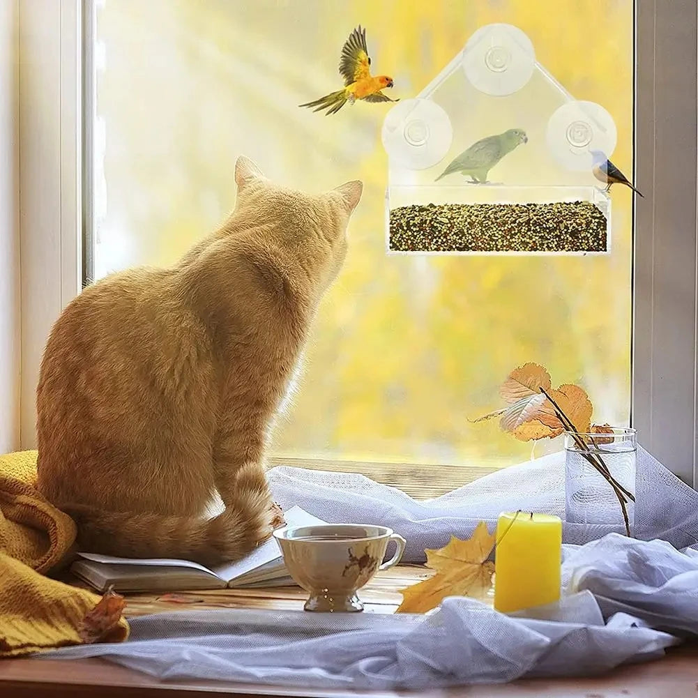 Mangeoire à oiseaux transparente pour fenêtre