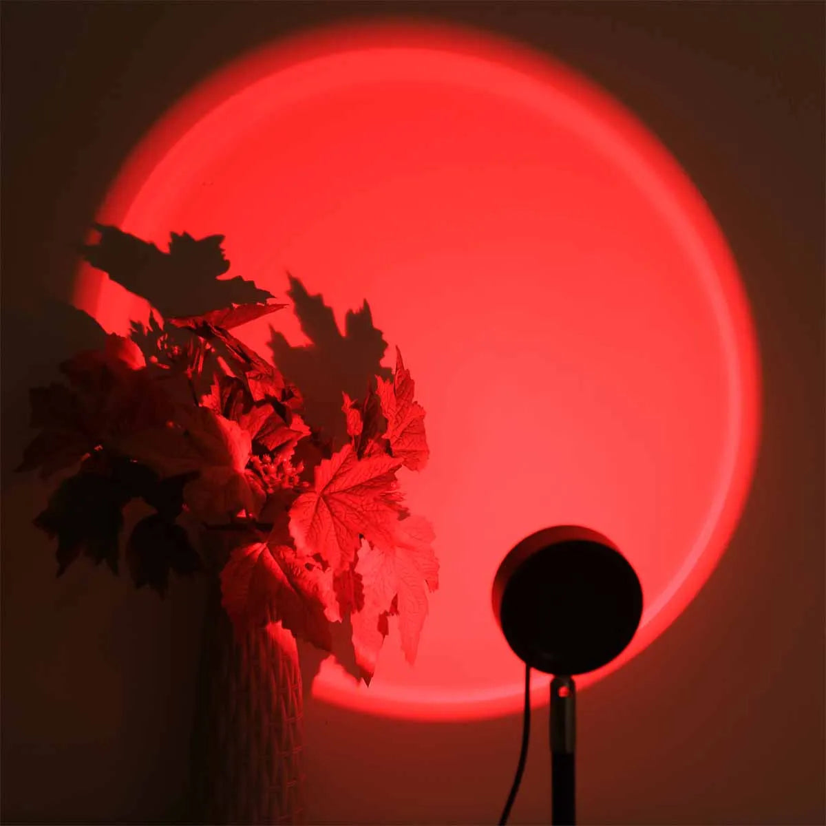 Lampe projecteur coucher de soleil