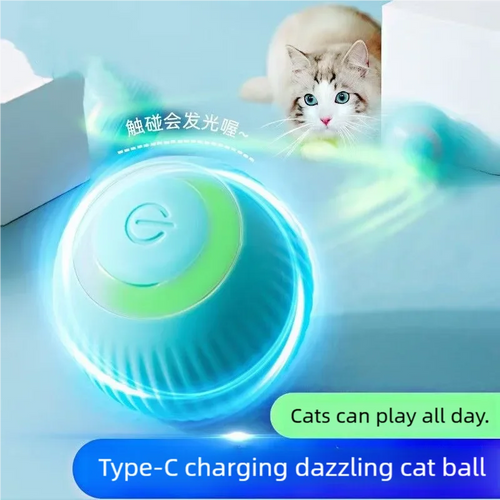 Balle roulante automatique pour chat
